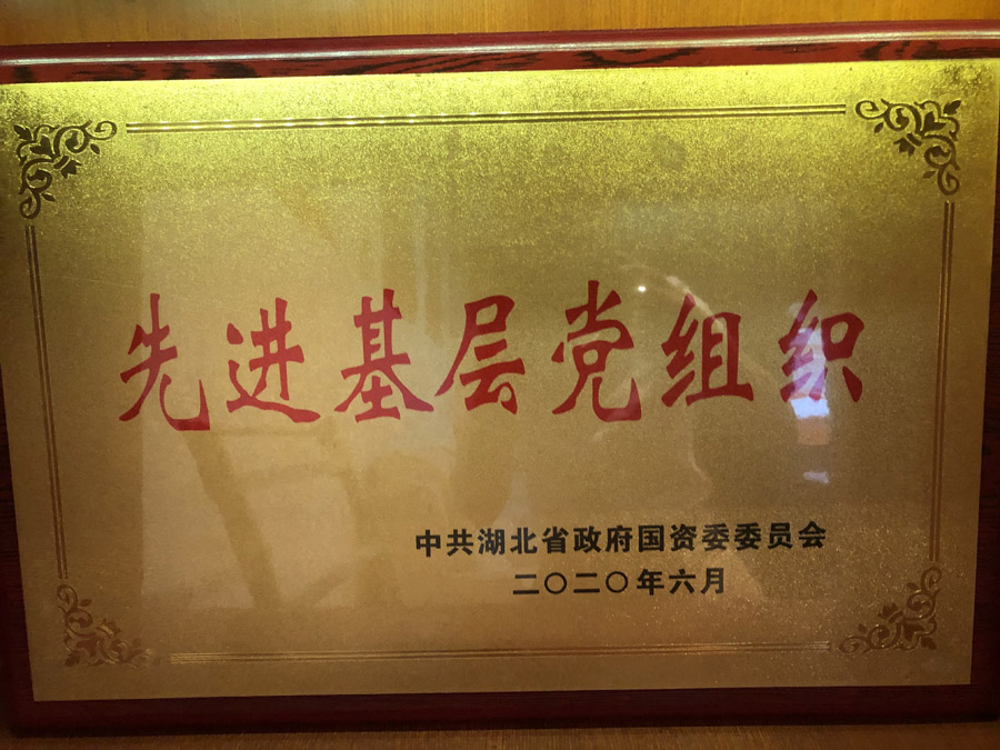 2020年6月，被省國資委評為“先進基層黨組織”